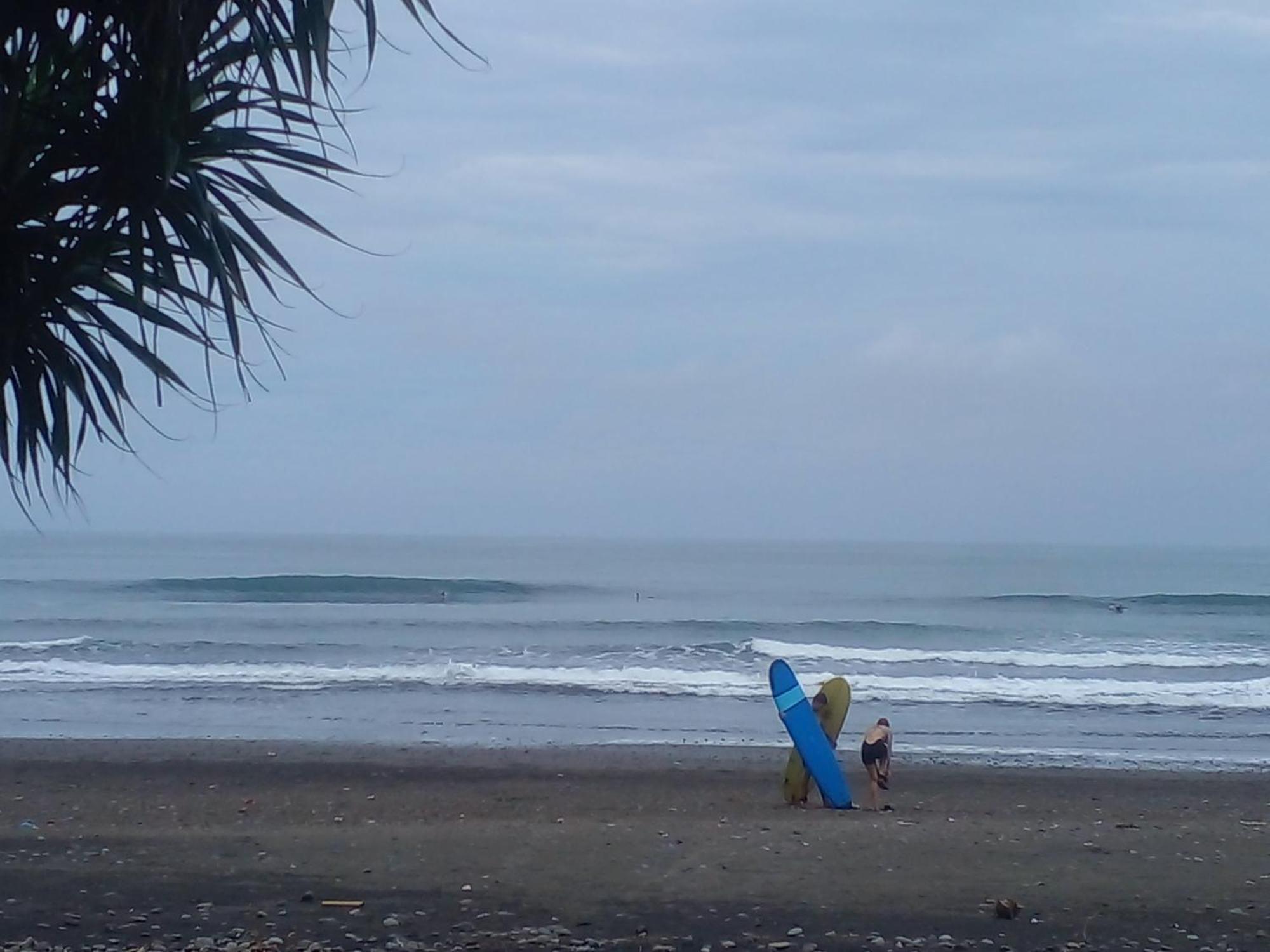 Medewi Good Vibes Stay&Surf Jembrana  Екстер'єр фото